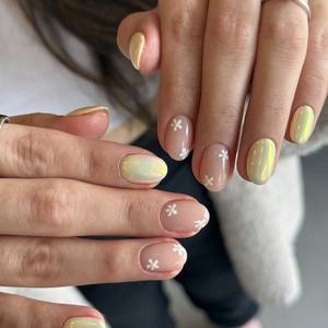 Img 4537