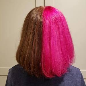 Img 4013