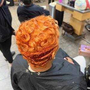 Img 0577