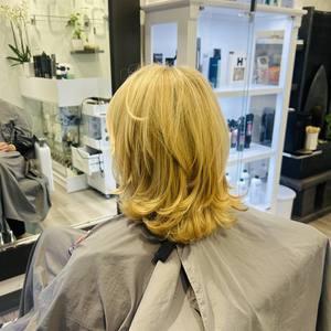 Img 1674