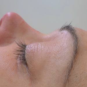 Img 0195