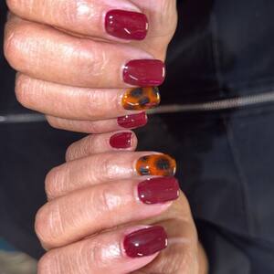 Img 4732