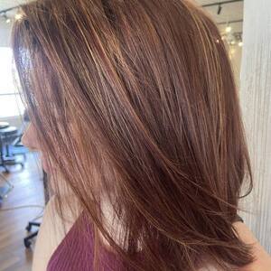 Pin5 auburn straight bob side view 1200x1500
