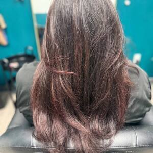 Pin5 copper dark red burgundy straight back view 1200x1500
