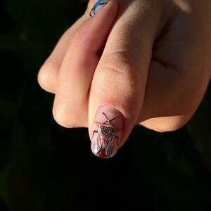Bug thumb