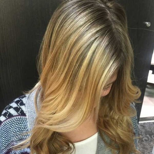 Hair Salons in Palm Harbor, Florida Salon Lofts in Palm Harbor Palm