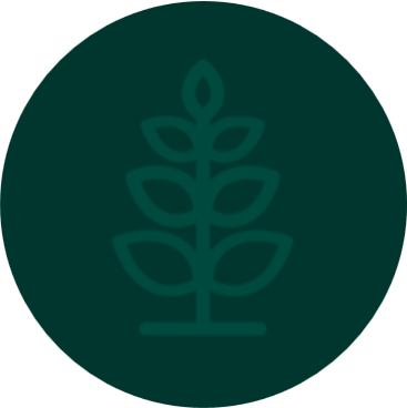 Button Image