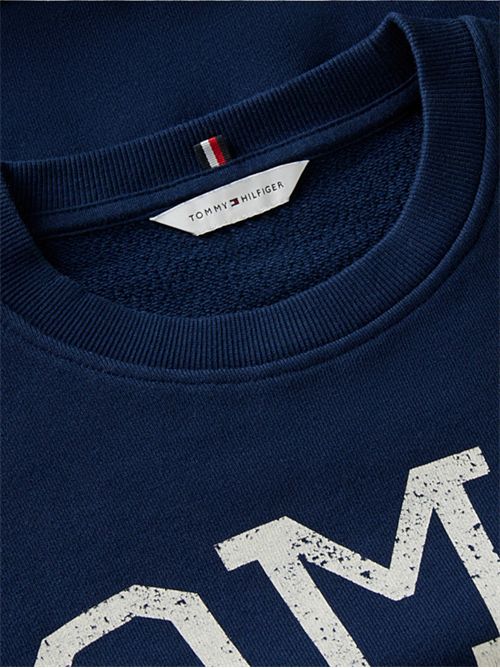 Felpa relaxed fit con logo stemma e lacci TOMMY HILFIGER | WW0WW50941C1G