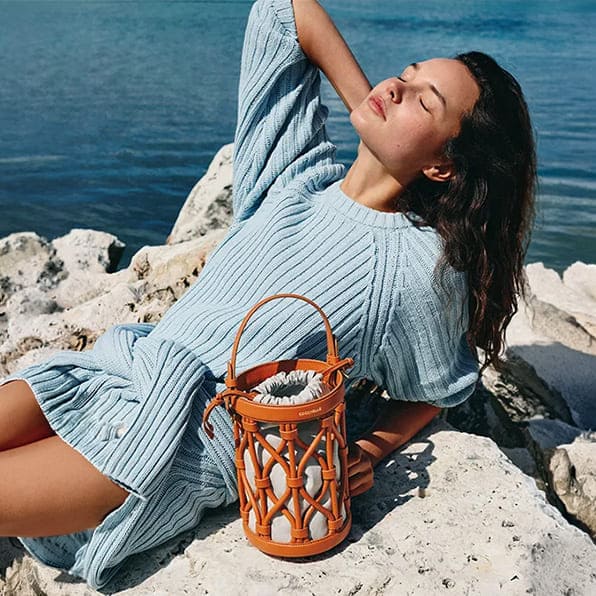 coccinelle