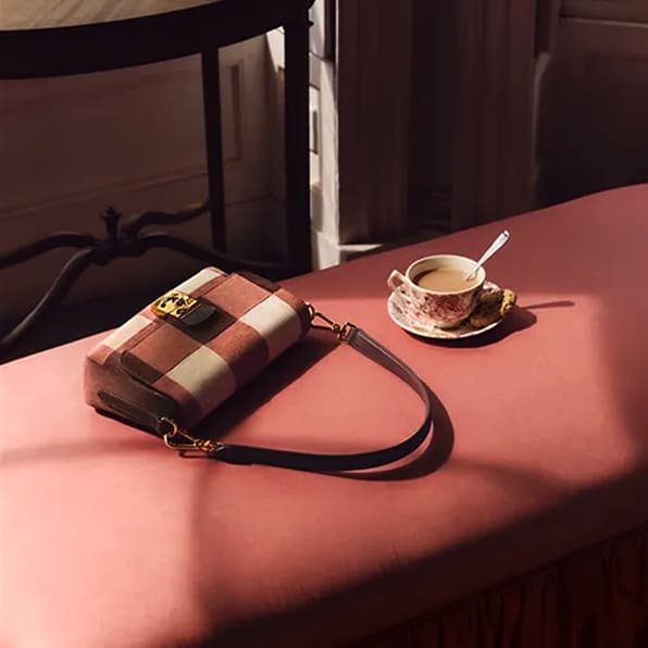 coccinelle