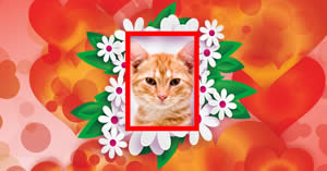 Moldura com florzinhas brancas