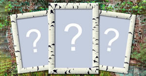 Moldura para 3 fotos!