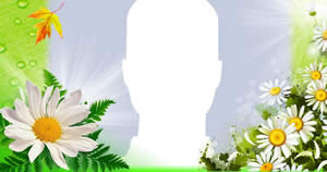 Linda moldura de margaridas, escolha uma foto de seu album e crie a sua!
