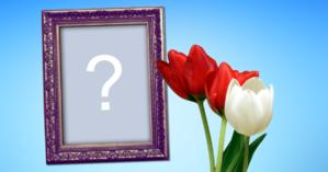 Moldura com tulipas vermelhas e branca. Coloque sua foto!