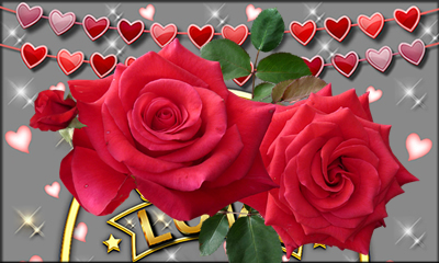 Como ficaria sua Foto em uma Moldura com Rosas?