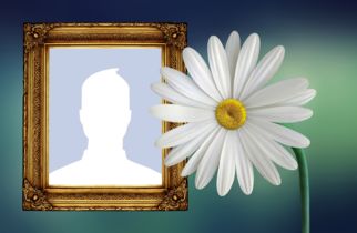 Linda foto montagem com Margarida e moldura dourada