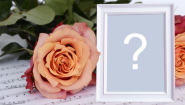 Linda moldura para foto com Rosa laranja e borda branca!