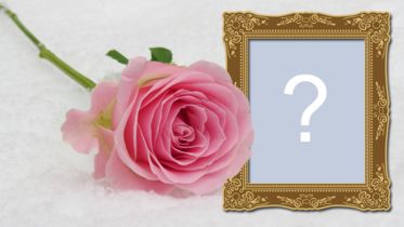 Bela foto montagem com rosa e moldura de madeira! Adicione sua foto