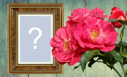 Moldura com rosas e borda de madeira. Adicione sua foto!