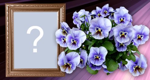 Adicione sua foto nesta linda moldura com flores lilás!