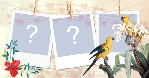 Moldura para 3 fotos com passarinhos e flores