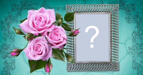 Adicione sua foto nesta magnífica moldura com rosas, e fundo azul!