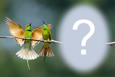 Moldura com Beija Flor. Adicione a sua foto!