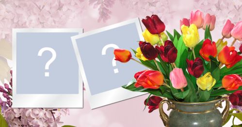 Moldura para duas fotos, com vaso cheio de tulipas de várias cores. Adicione duas fotos!