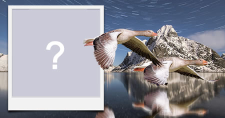 Linda moldura com lago, montanhas e patos selvagens voando, com reflexo na água. Adicione sua foto!