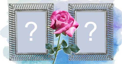 Coloque 2 fotos nesta linda moldura com fundo azul e uma rosa no meio!