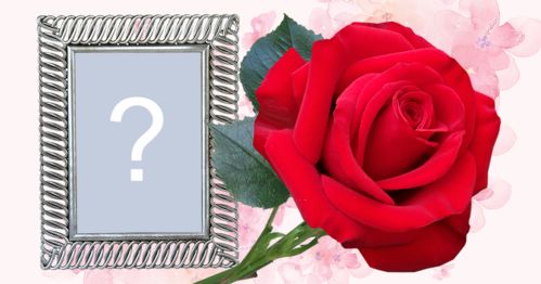 Moldura muito linda com borda prateada e linda rosa vermelha. Adicione uma foto!