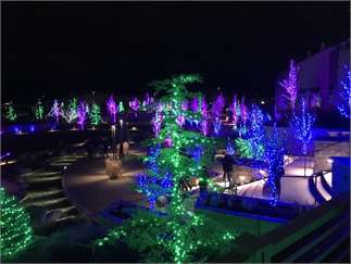 Take Your Family On A Holiday Lights Adventure Soldman