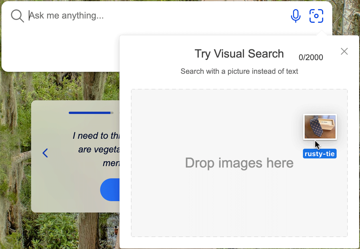 Bing Homepage Images Visual Search