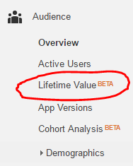 Google Analytics Lifetime Value Report