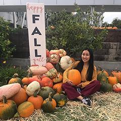 GooglePlex Pumpkin Patch