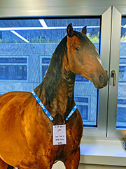 Google's Fake Horse Named User-Agent?
