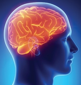 Concussion Testing