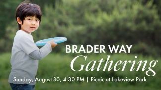 Brader Way Picnic at Lake View Park — Family fun in Lakeview Park