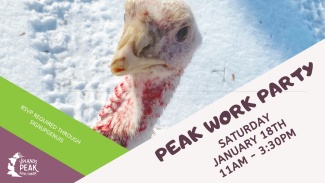 March Work Party
