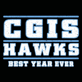 Hawk Olympics