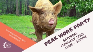 March Work Party