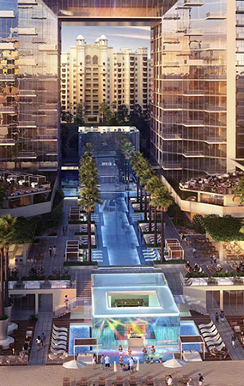 Saudi arabia palm tree island picture