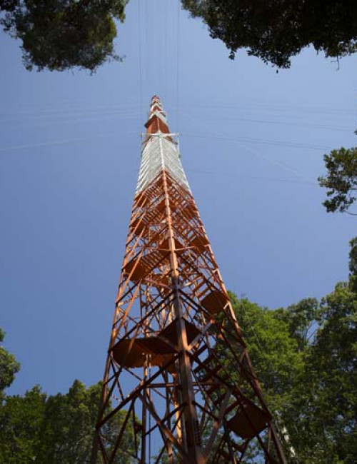 Amazon Tall Tower Observatory The Skyscraper Center