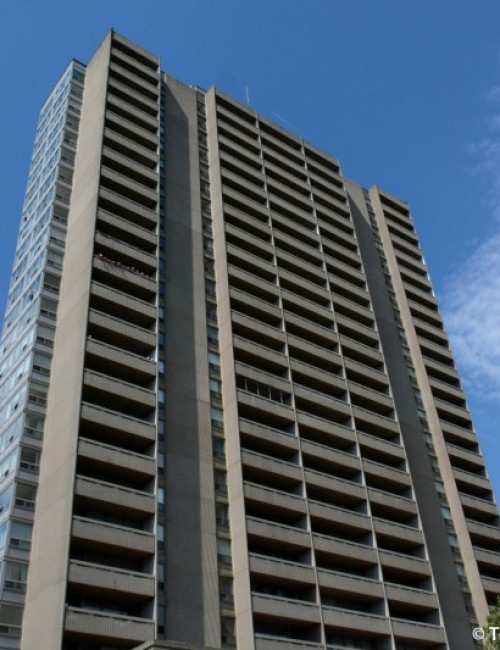 Functional areas purposes and activities bromley library essay 04 image