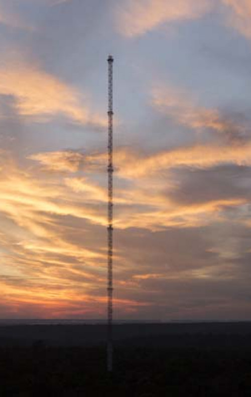Amazon Tall Tower Observatory The Skyscraper Center