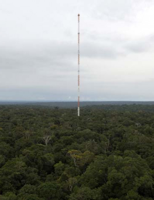 Amazon Tall Tower Observatory The Skyscraper Center