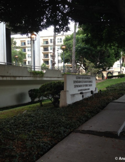 Department of Health Services - The Skyscraper Center