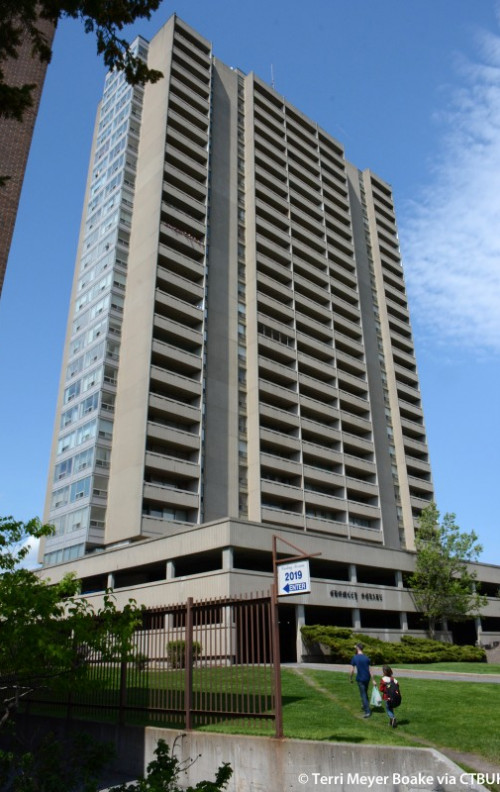 Functional areas purposes and activities bromley library essay 06 image