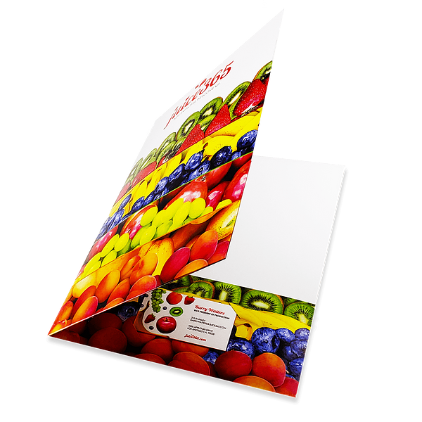 Folders Presentation Folders