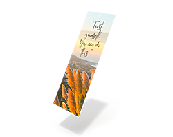 Bookmarks